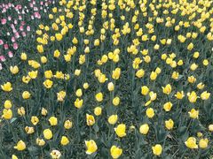 -长春公园(普阳街道)