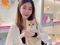 -lincat·猫舍(广州店)