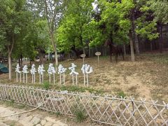 -北京西山国家森林公园