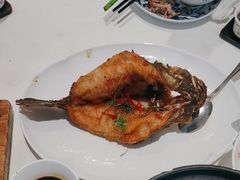 -侨美·唐荔园·40年地道粤菜