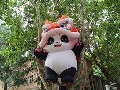 -西安电影制片厂