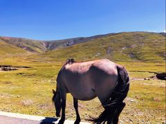 -青海湖国家重点风景名胜区