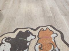 -柴迷FANS CLUB·柴犬狗咖·猫咖