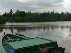 -东寨港红树林旅游区