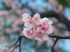 -静安雕塑公园