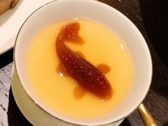 热情果布丁-甄御•海鲜新青岛菜(麦岛店)