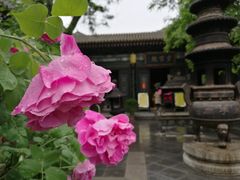 -湘子庙