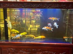 -庐州太太(鼓楼店)