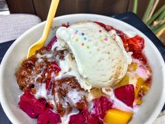 -铁真·刨冰红焖羊肉·正宗老字号