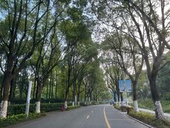 -汤山公园