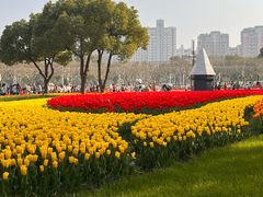 -大宁公园