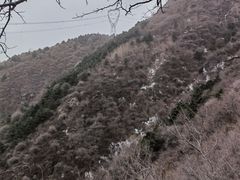 -北京鹫峰国家森林公园
