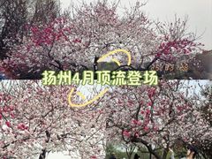 -汉陵苑