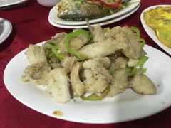 -蛇口康乐快餐鱼仔档(翠苑小区店)