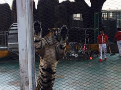 -泉州海丝野生动物世界