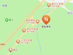 -老张烤羊(王哥庄店)
