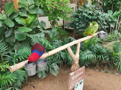 -南宫五洲植物乐园