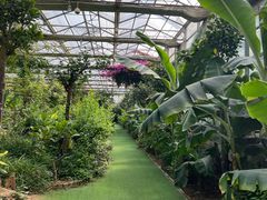 -呀路古热带植物园