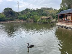 -泉州海丝野生动物世界