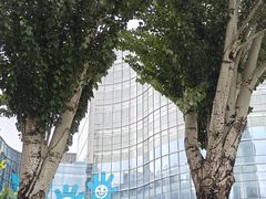 -呼和浩特市老牛儿童探索馆