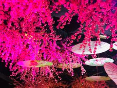 -韵秋荷(宝山龙湖天街店)