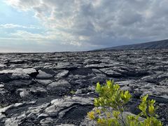 -夏威夷火山国家公园
