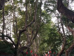 -杭州黄龙洞