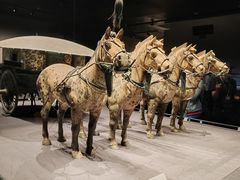 -秦始皇帝陵博物院(兵马俑)