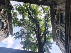 -旅顺博物馆