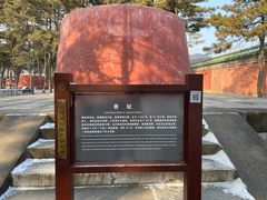 -清东陵