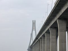 -中澳友谊花园
