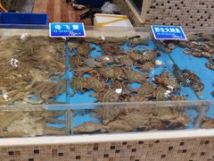 -双井轩(双井店)