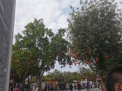 -国恩寺