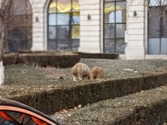 -北京君和豪生温泉度假酒店
