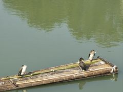 -韩湘水博园