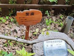 -徐家汇源景区-衡山公园