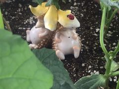 -新湖明珠城