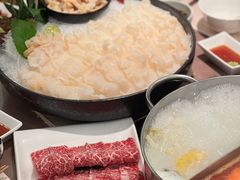 加拿大象拔蚌-協成海鮮火鍋(老店)