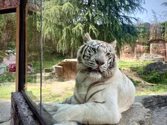 -杭州野生动物世界