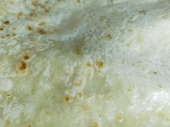 单饼-彭哥甩饼王(城隍庙广场店)