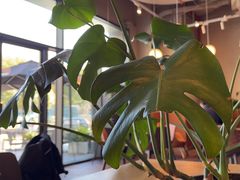 -Wagas沃歌斯(汇智店)