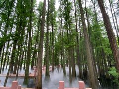 -东湖落雁景区