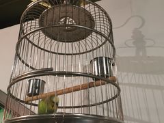 -九朝会昆曲·宴(望京店)