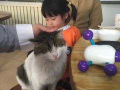 -柳沟豆腐宴69号福豆堂