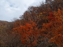 -天女山森林公园