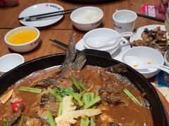 -老板恋上鱼(恒隆广场店)