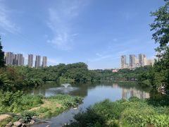 -重庆彩云湖湿地公园