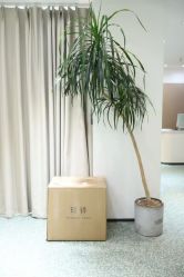 -台湾蔡美月婚纱租赁