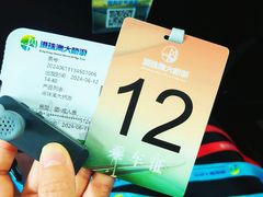 -港珠澳大桥(珠海段)