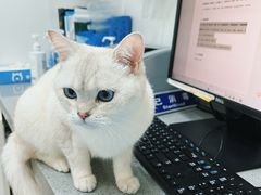 -萌兽医馆·绝育·24小时内科·宠物医院(德胜店)